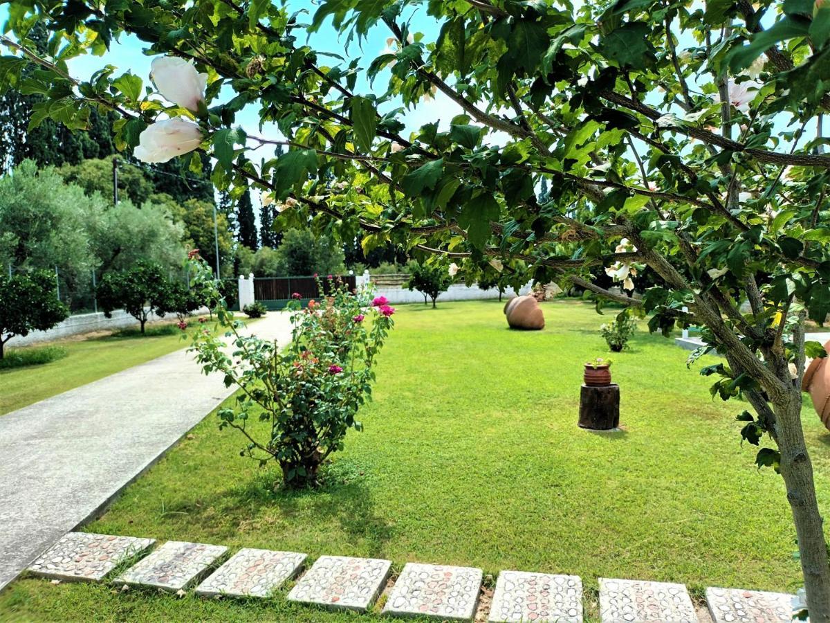 Вилла Zenia Pelion Garden House Platanidia Экстерьер фото